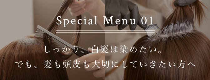 Special Menu 01