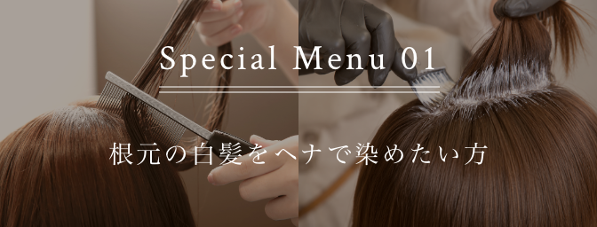 Special Menu 01
